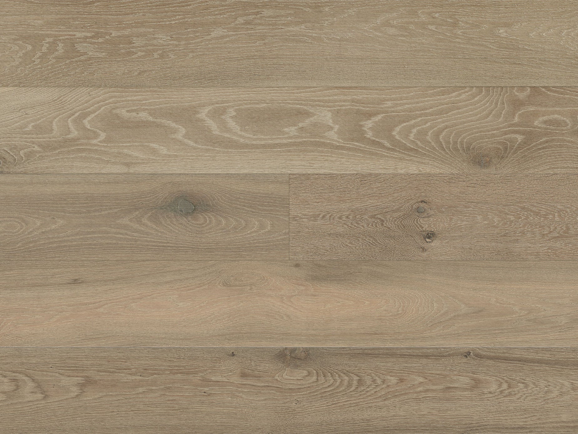 MOREAU | Engineered Hardwood by Pravada Floors