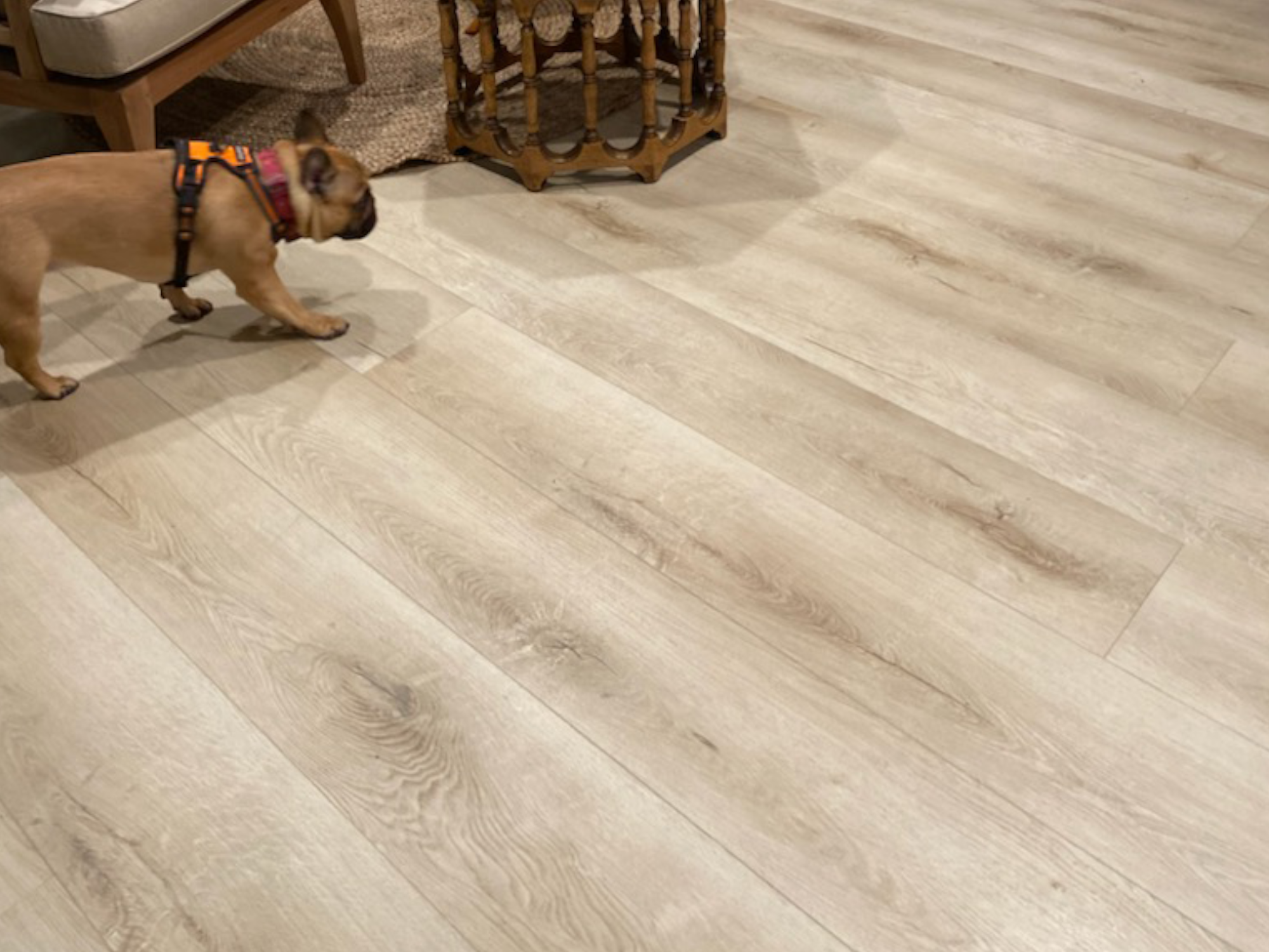 HORIZON | Waterproof SPC by Pravada Floors