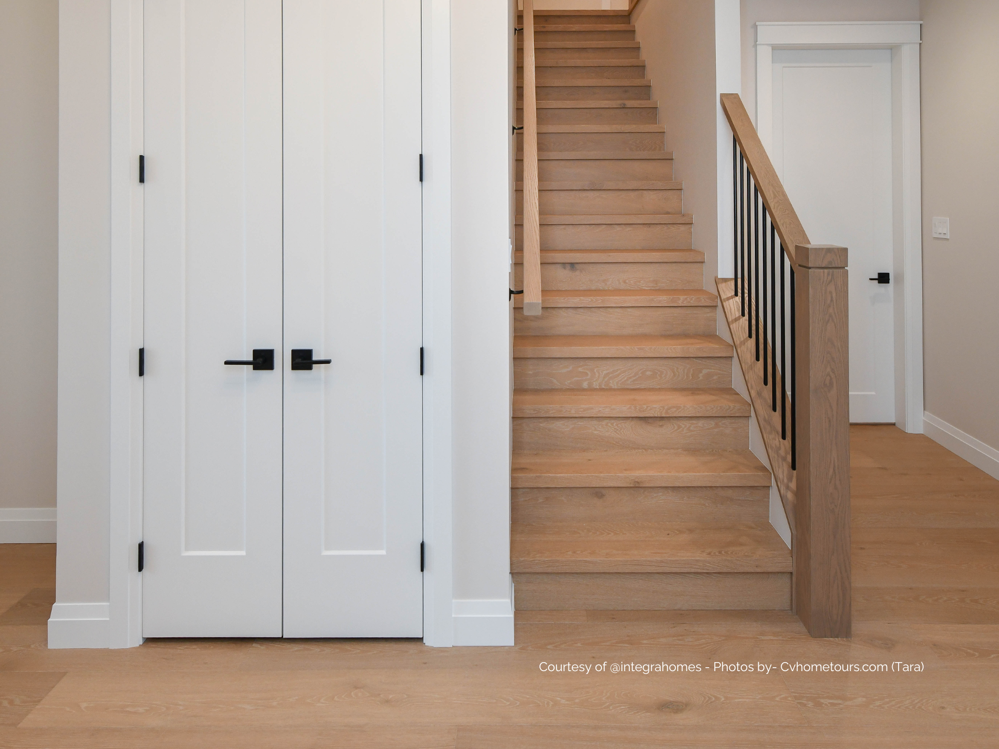 MOREAU | Engineered Hardwood by Pravada Floors