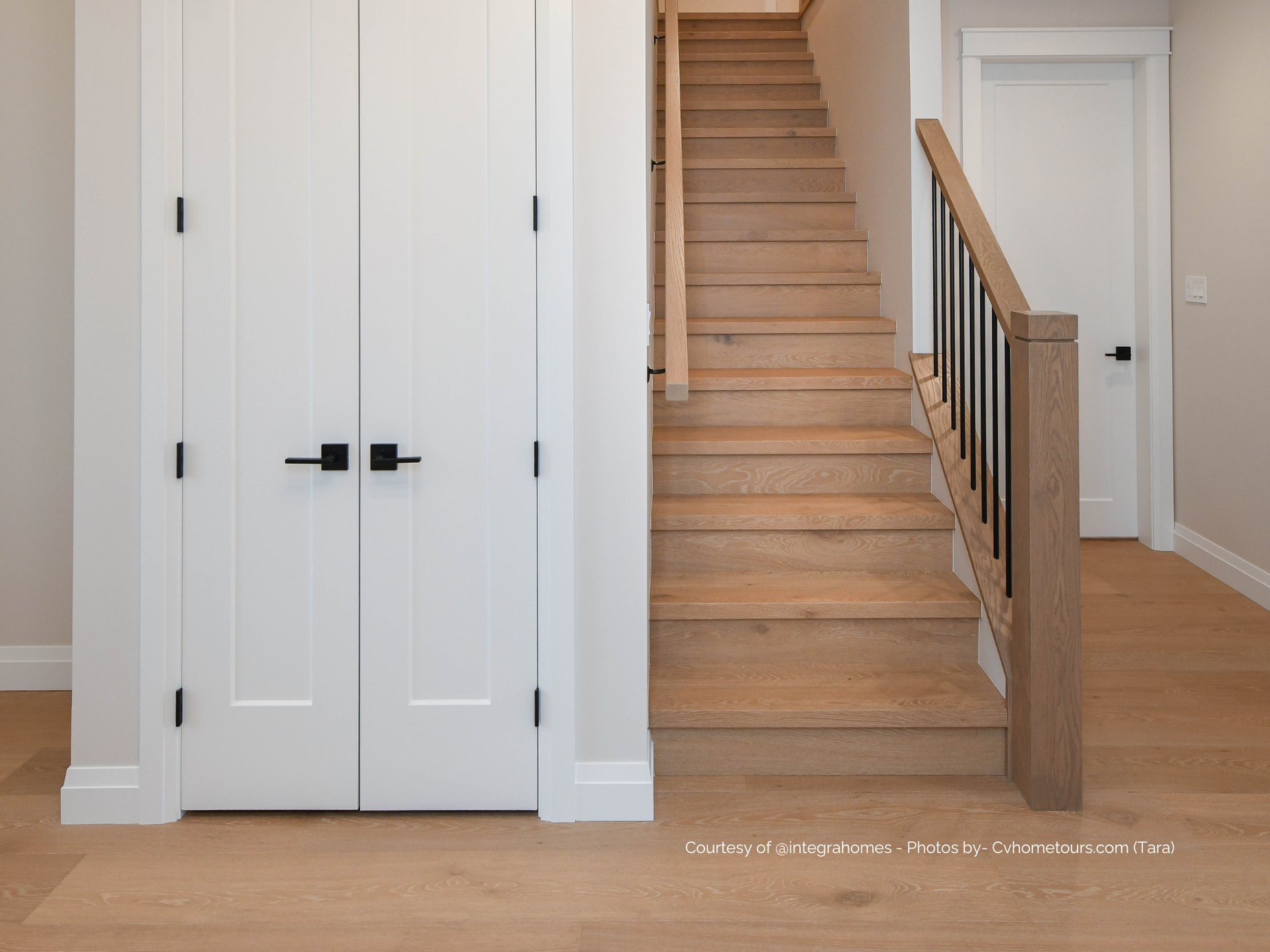 MOREAU | Engineered Hardwood by Pravada Floors