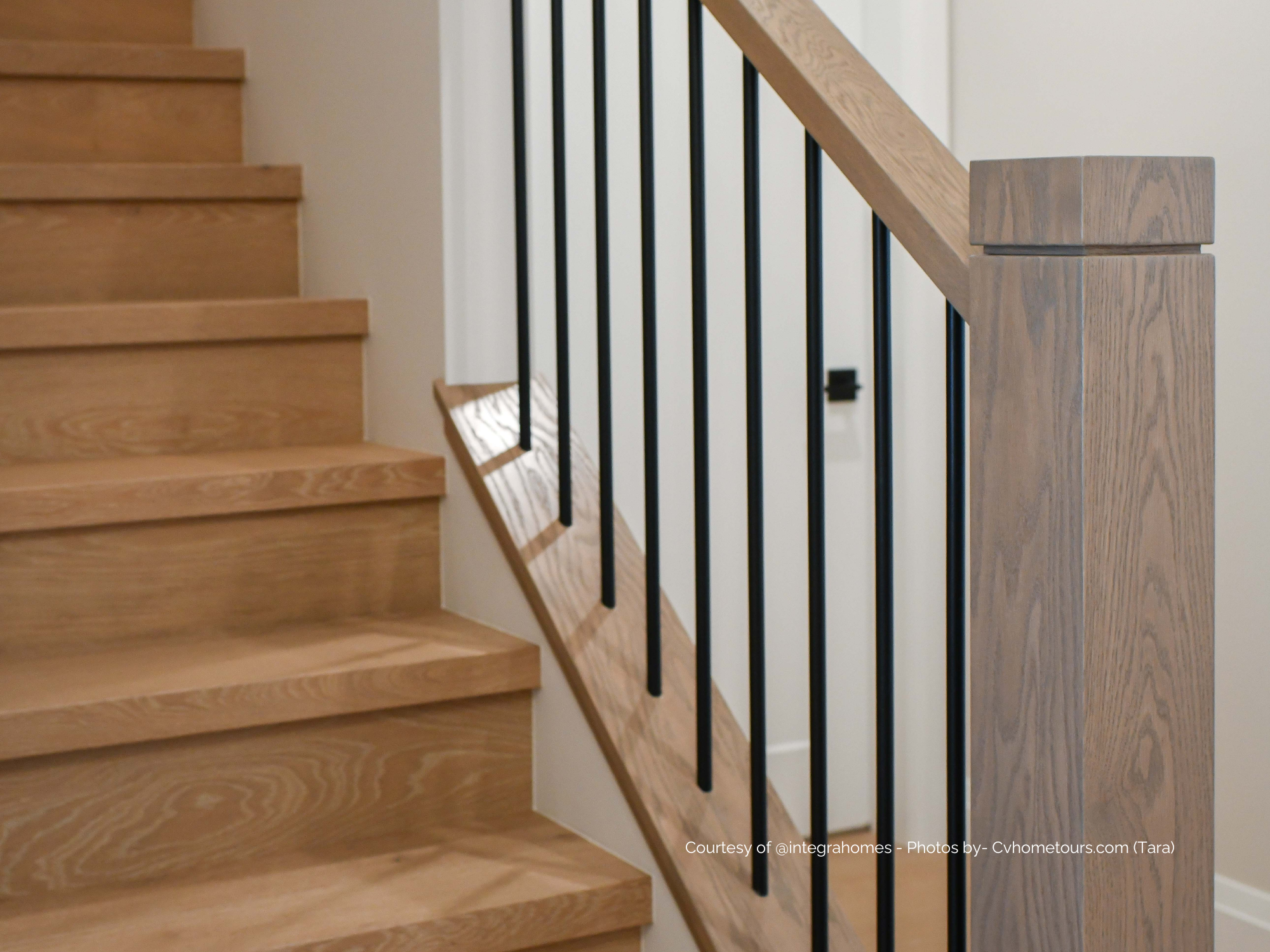 MOREAU | Engineered Hardwood by Pravada Floors