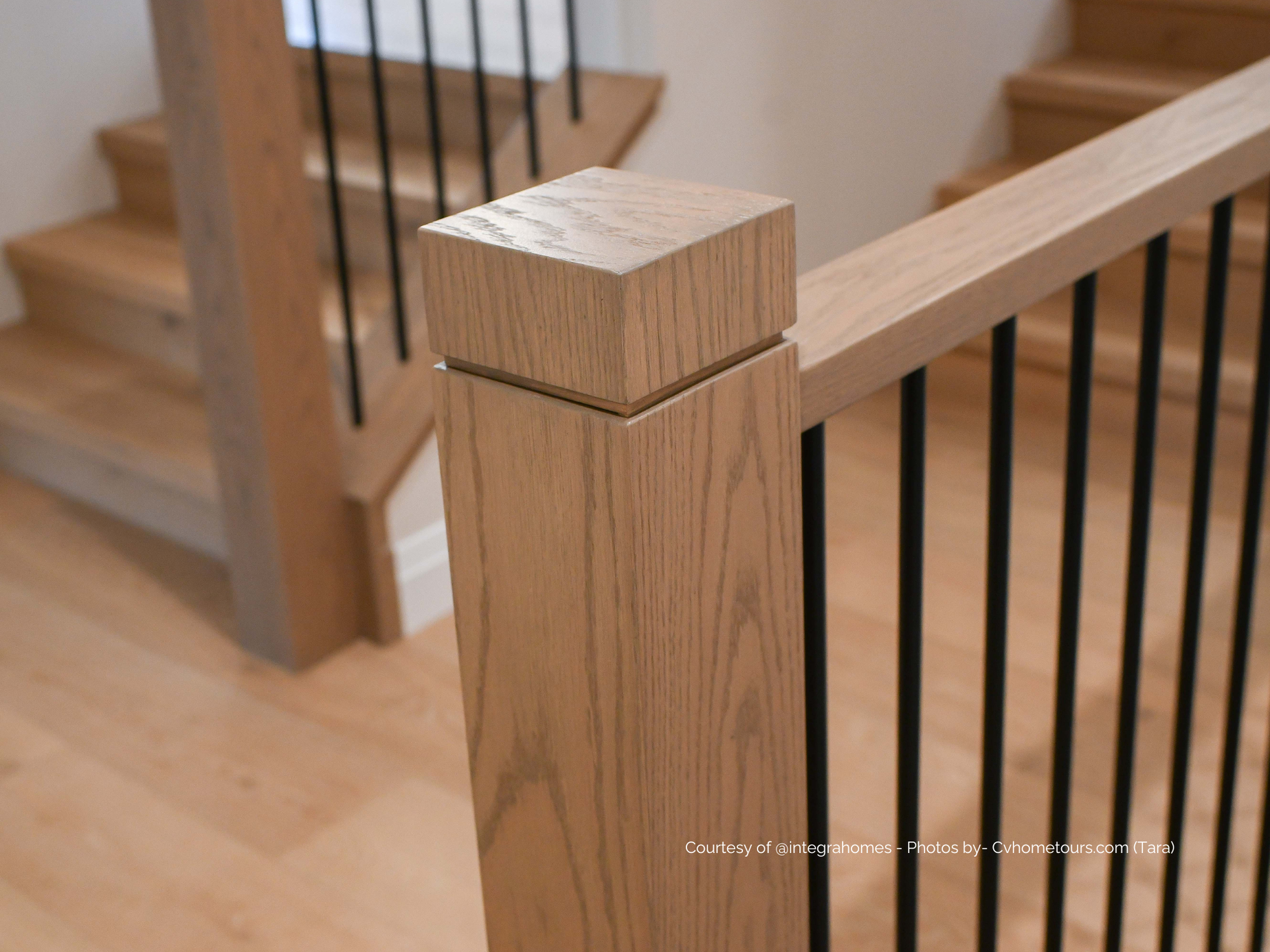 MOREAU | Engineered Hardwood by Pravada Floors